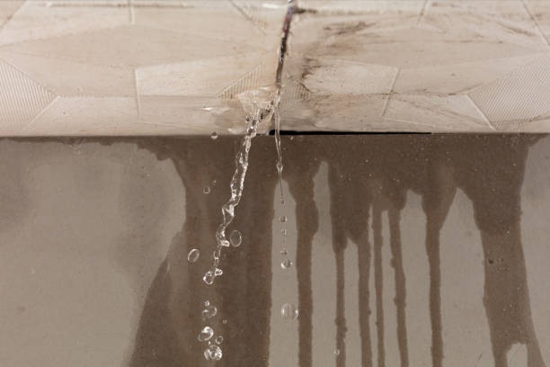 Professional Burst Pipe Cleanup technician working in Brownstown, IN